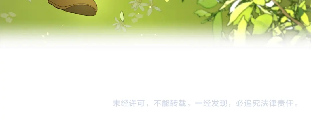 第225页