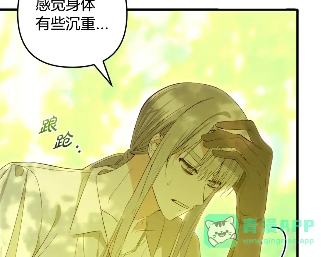 第206页