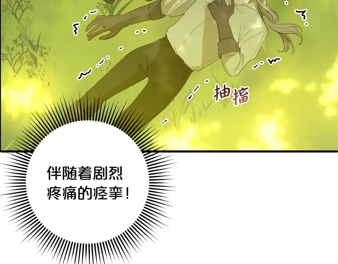 第215页