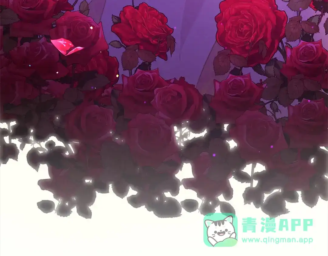 第221页