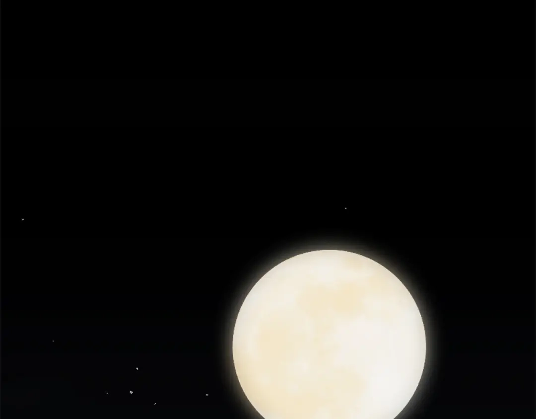 第225页