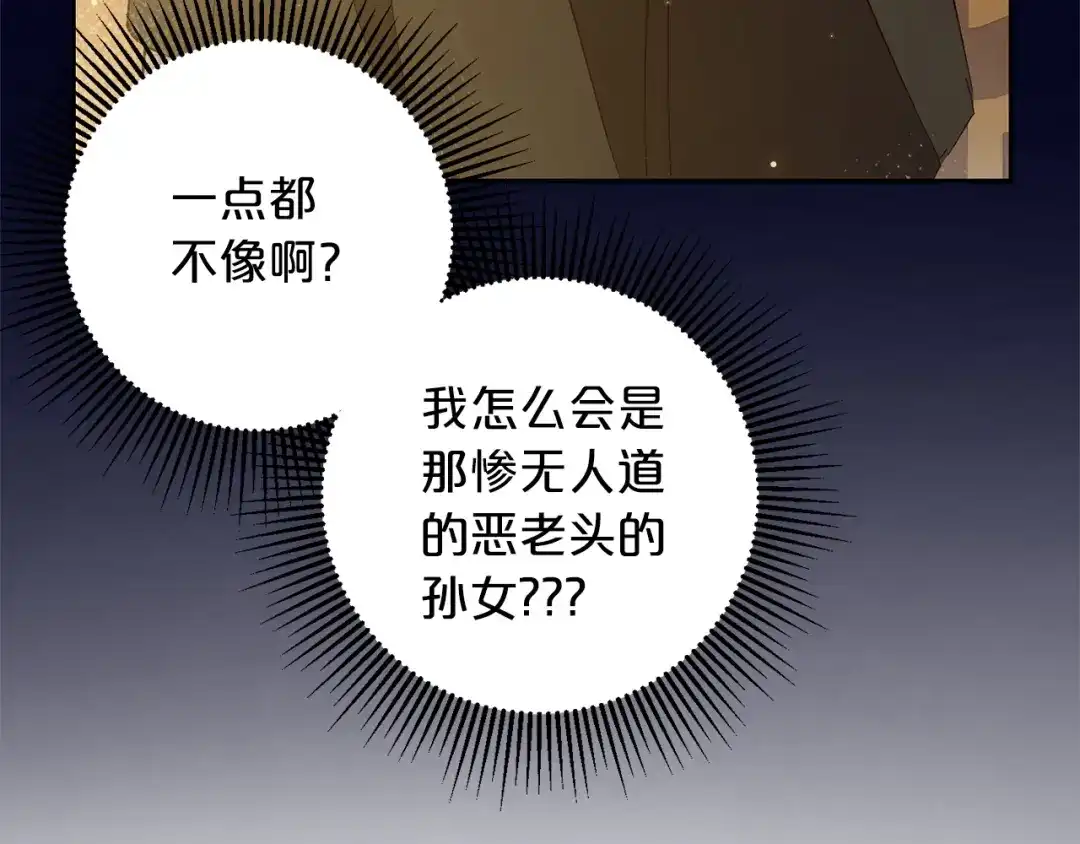 第213页