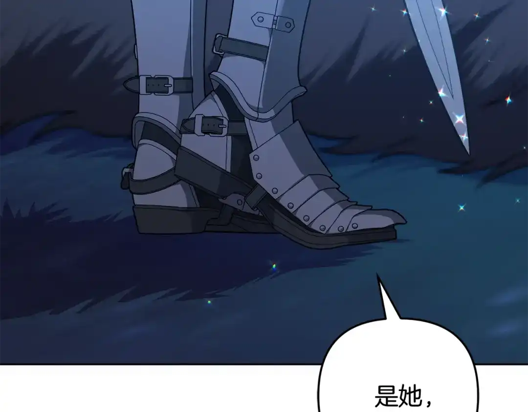 第207页