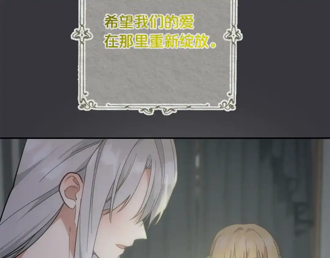 第243页