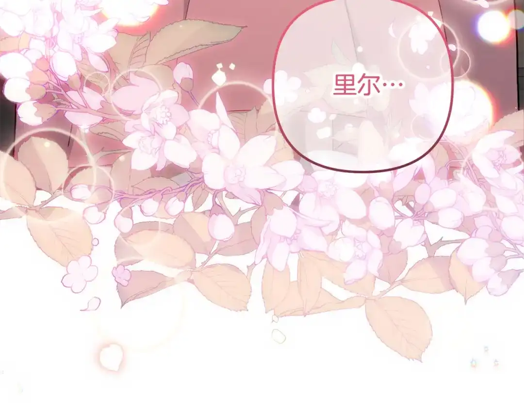 第215页