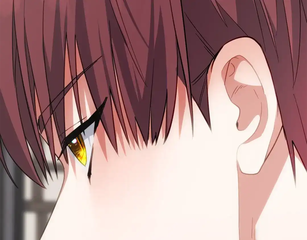 第221页