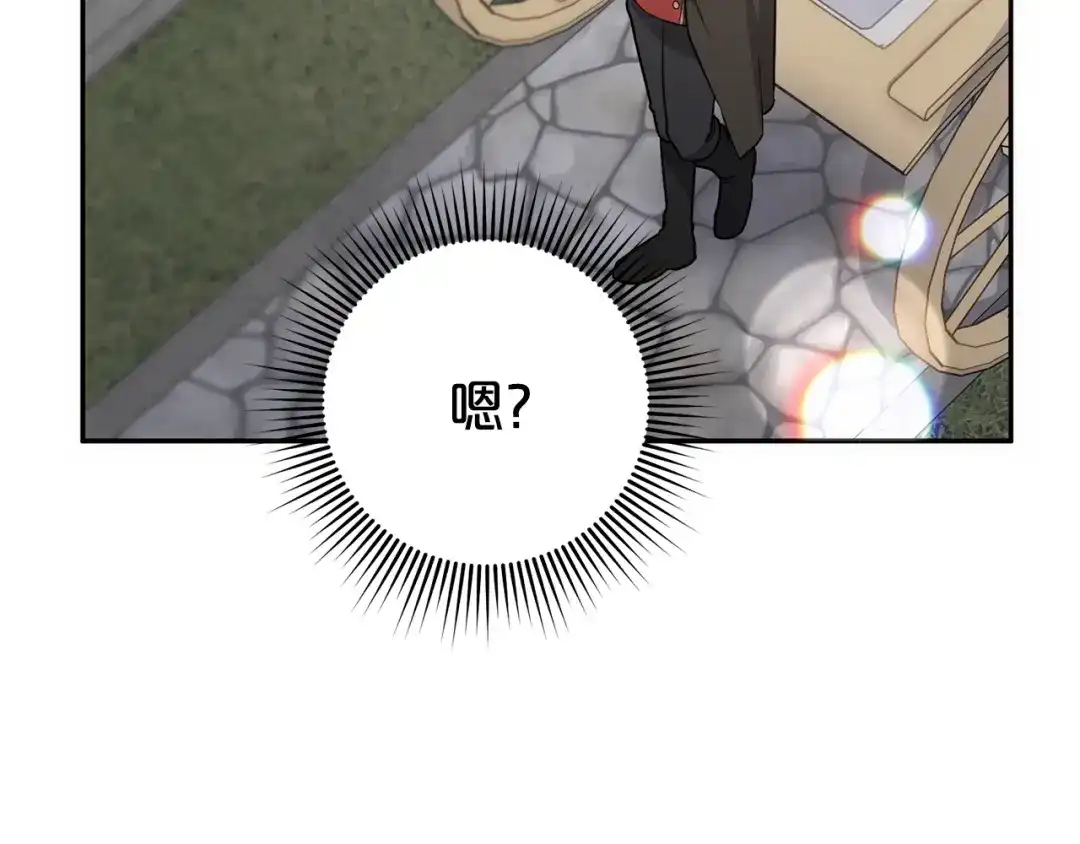 第231页