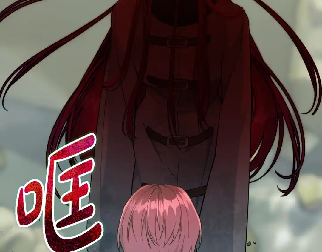第219页