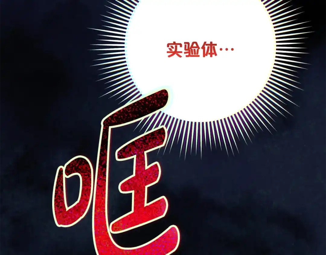 第226页