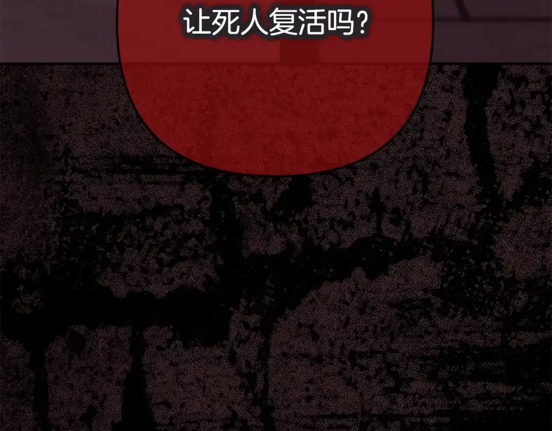 第260页