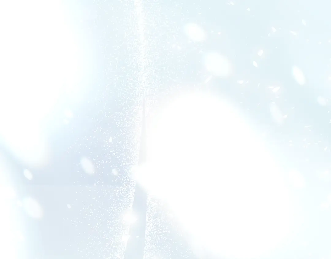 第242页