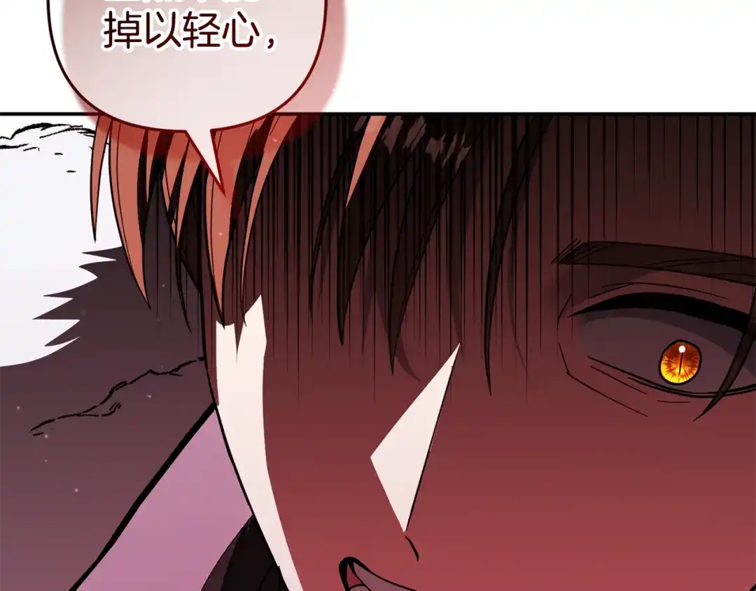 第211页