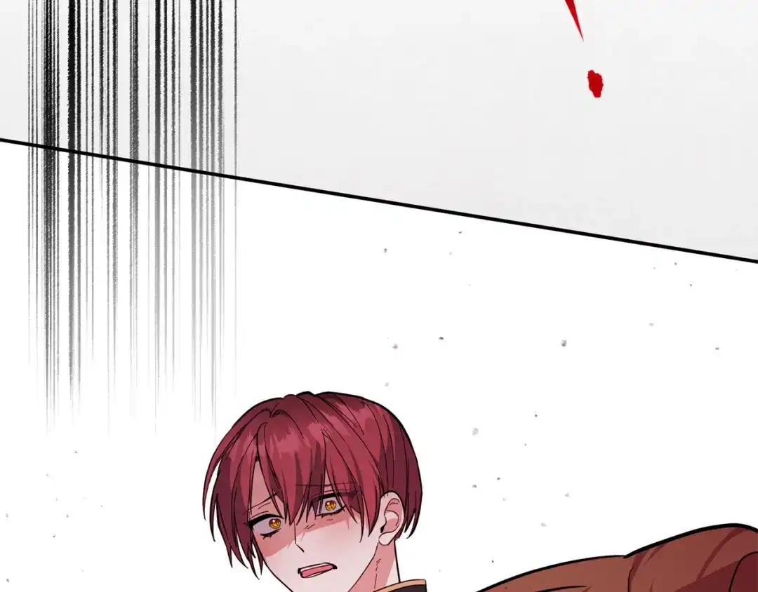 第217页