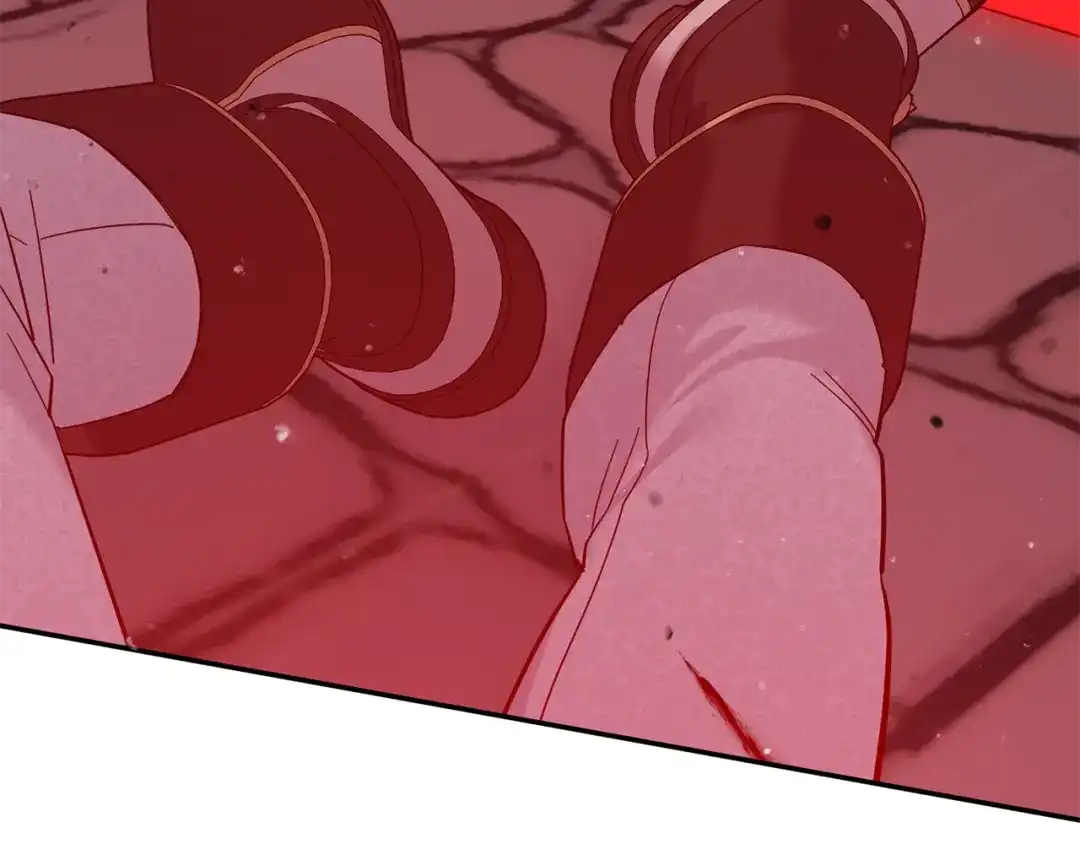 第256页