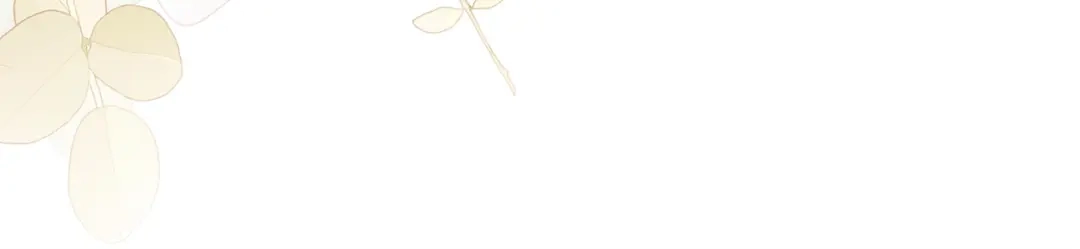 第215页