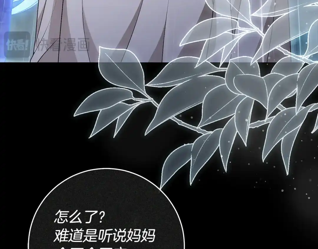 第207页