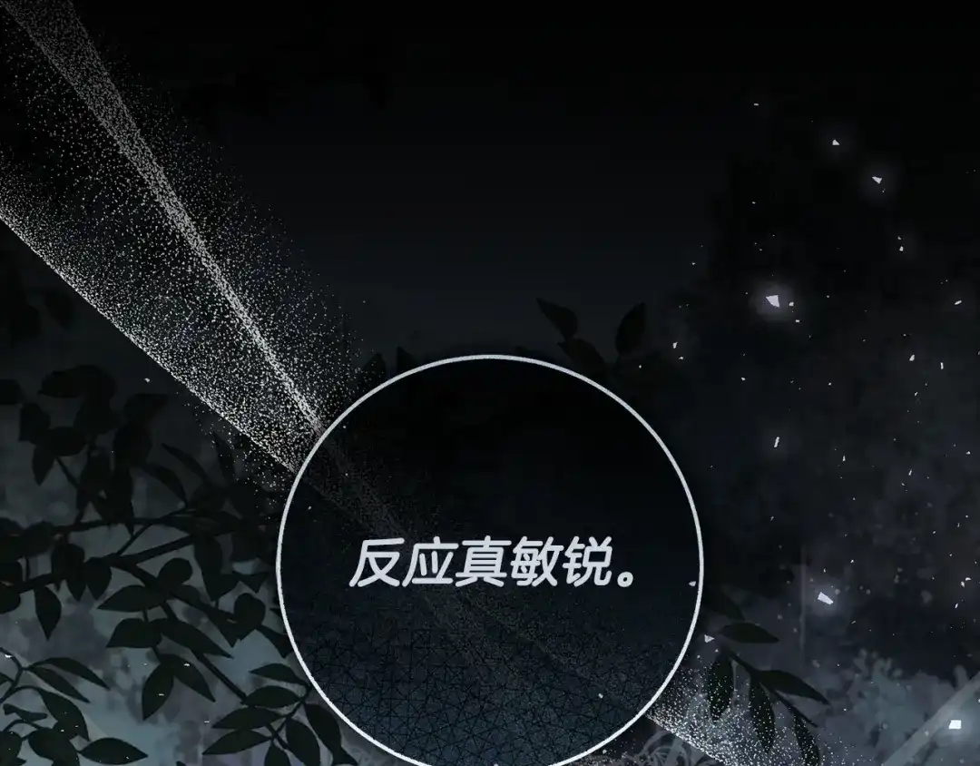 第217页