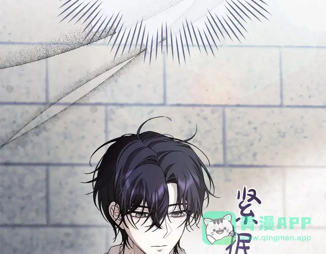 第196页