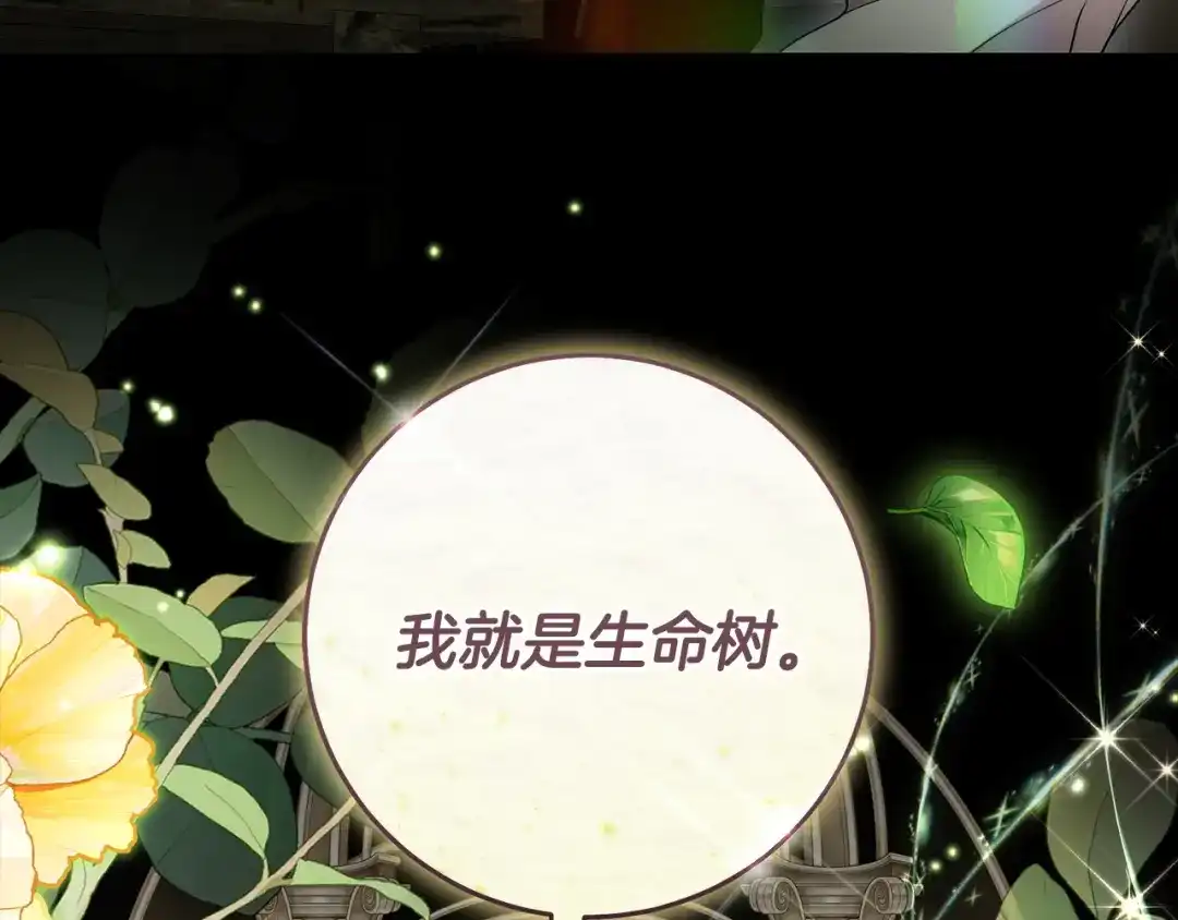 第206页