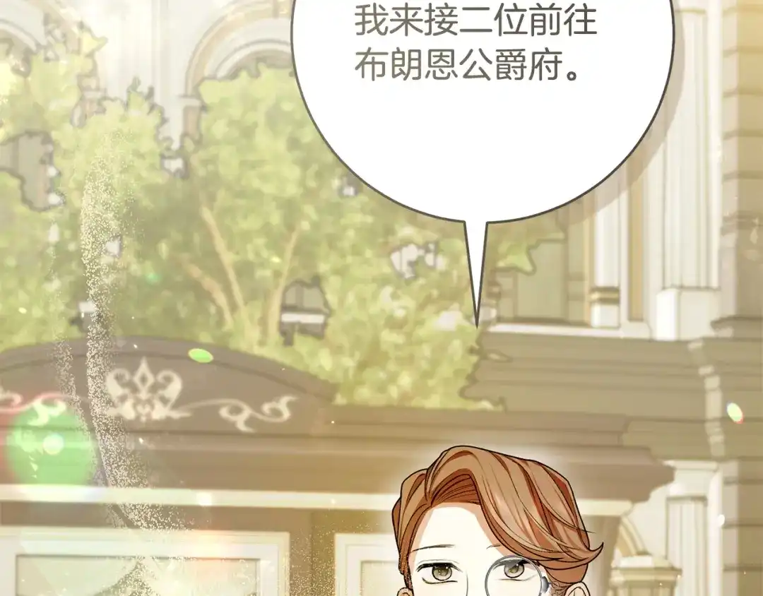 第223页