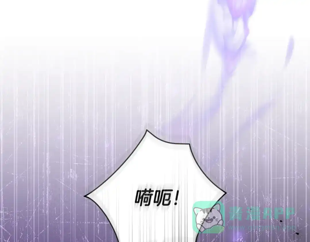 第221页