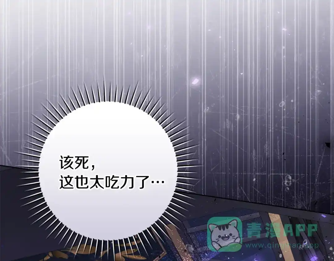 第231页