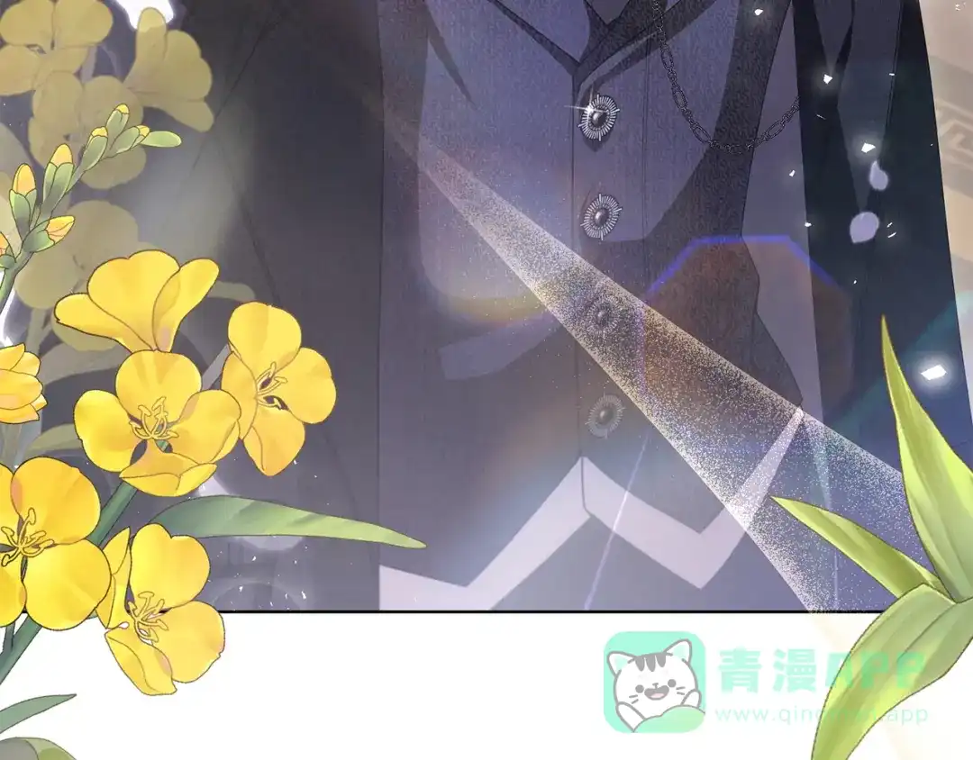 第221页