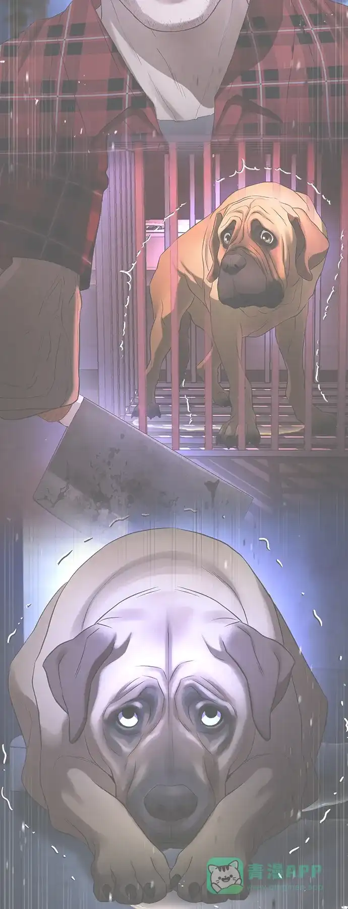 第116页
