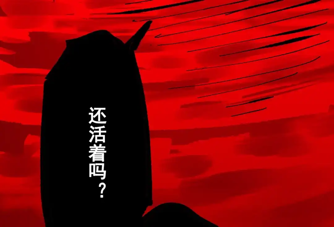 第204页