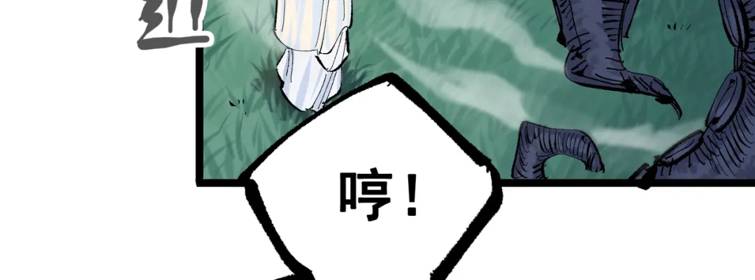 第213页