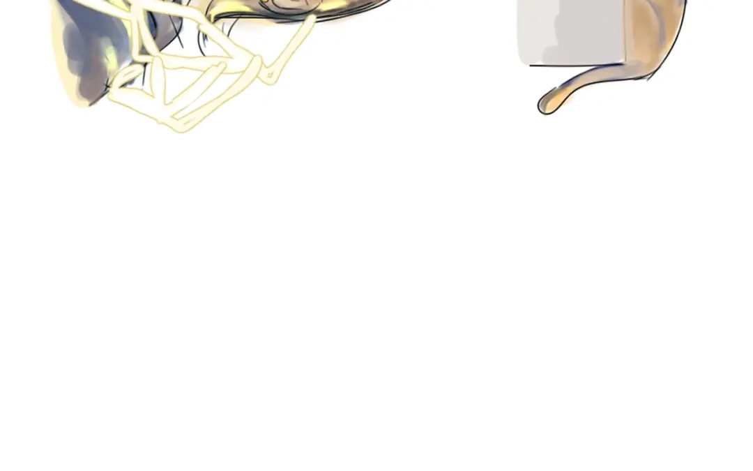 第169页