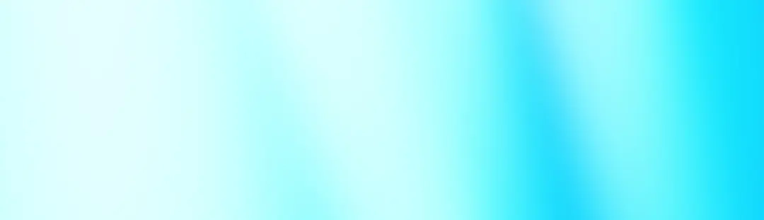 第258页