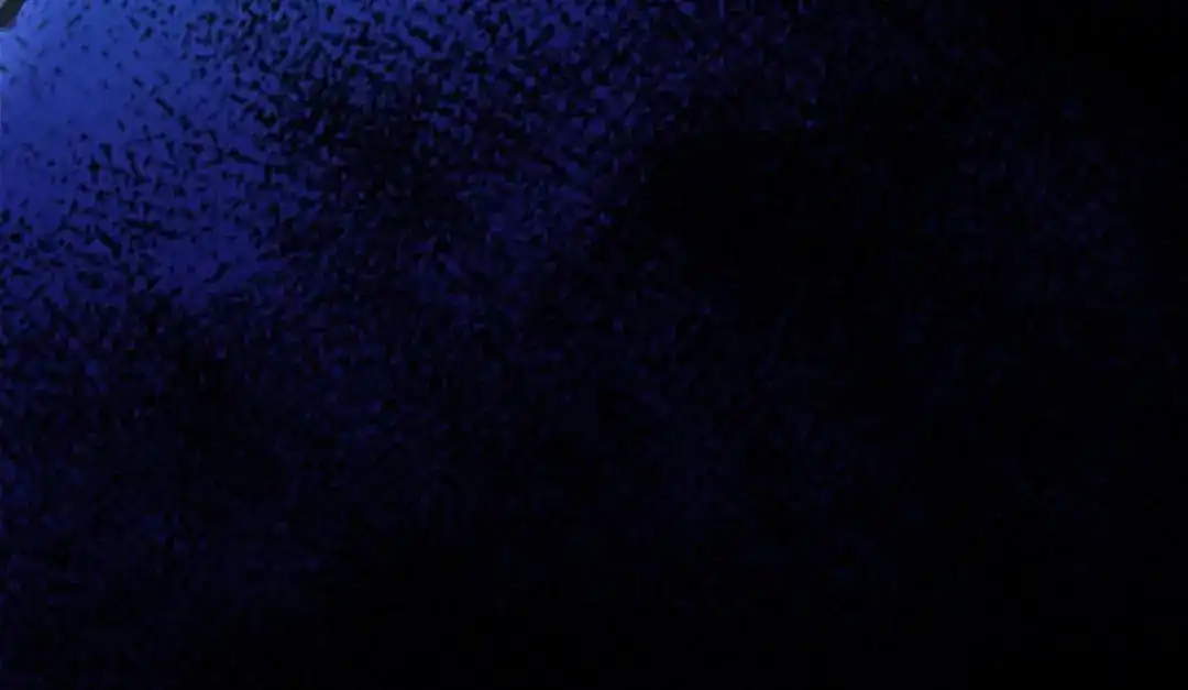 第228页