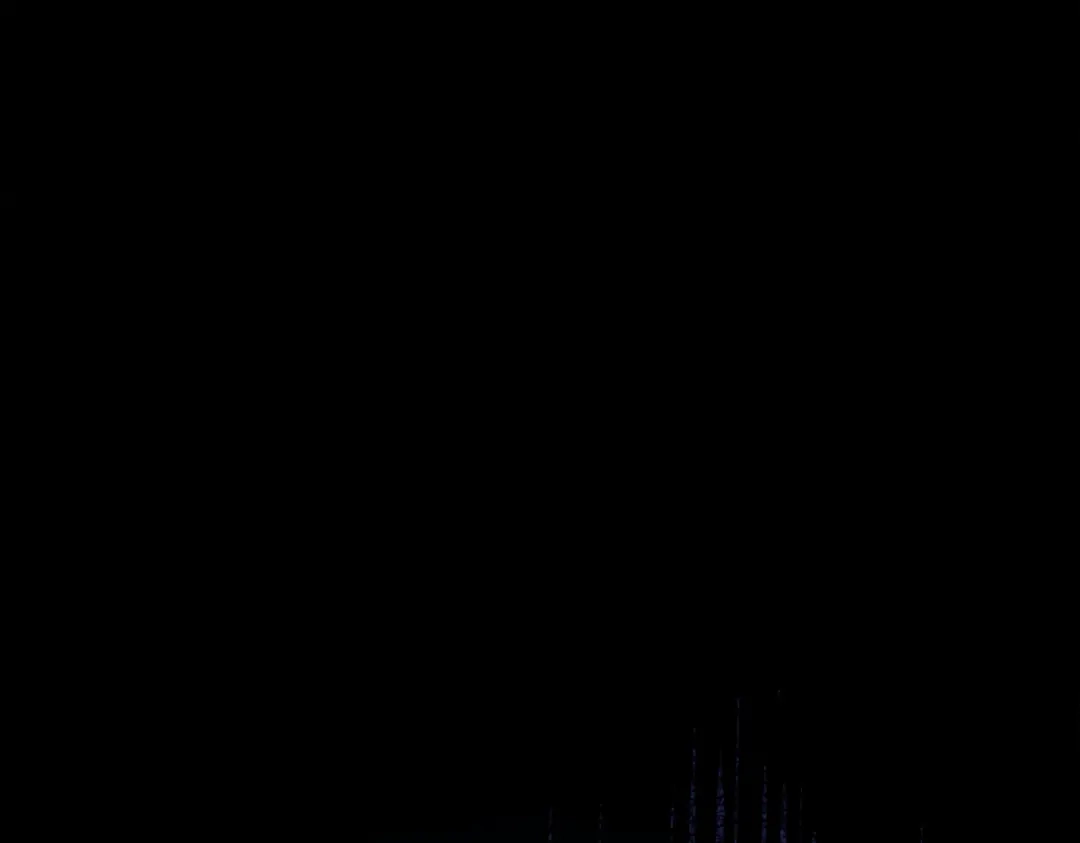第365页