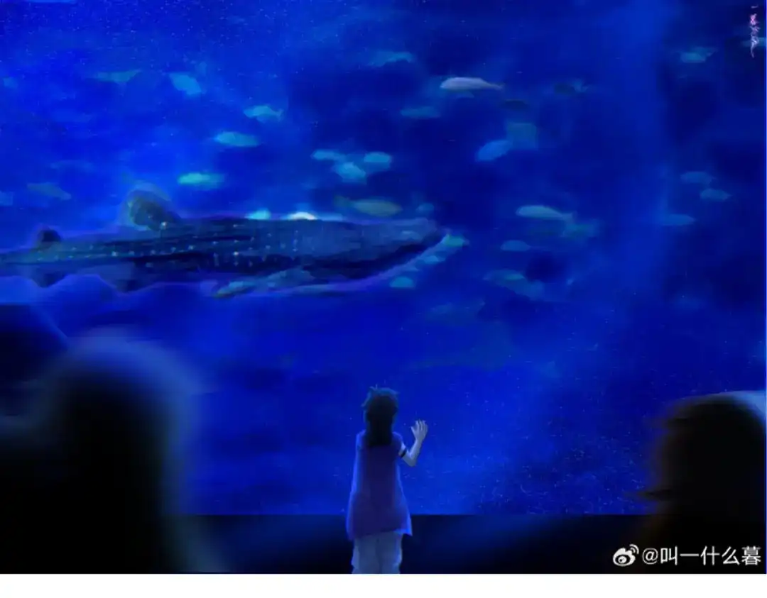 第203页