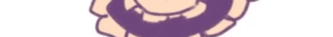 第255页