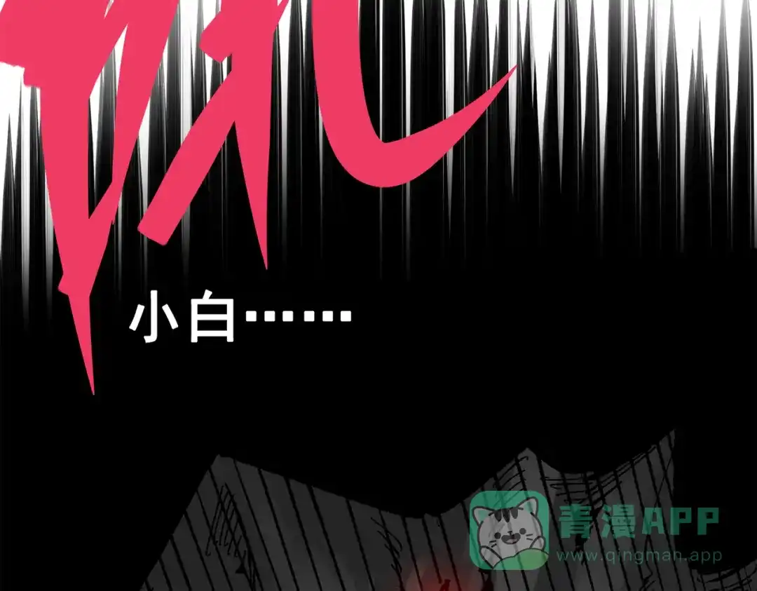 第196页