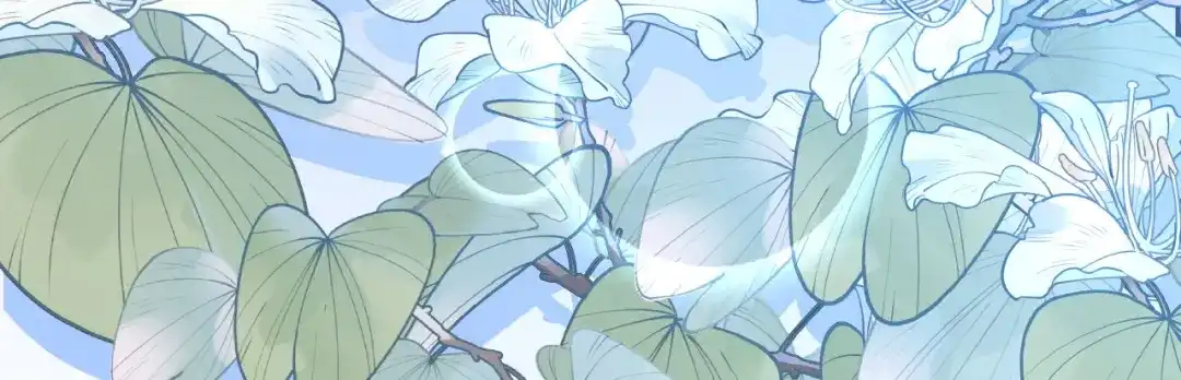 第358页