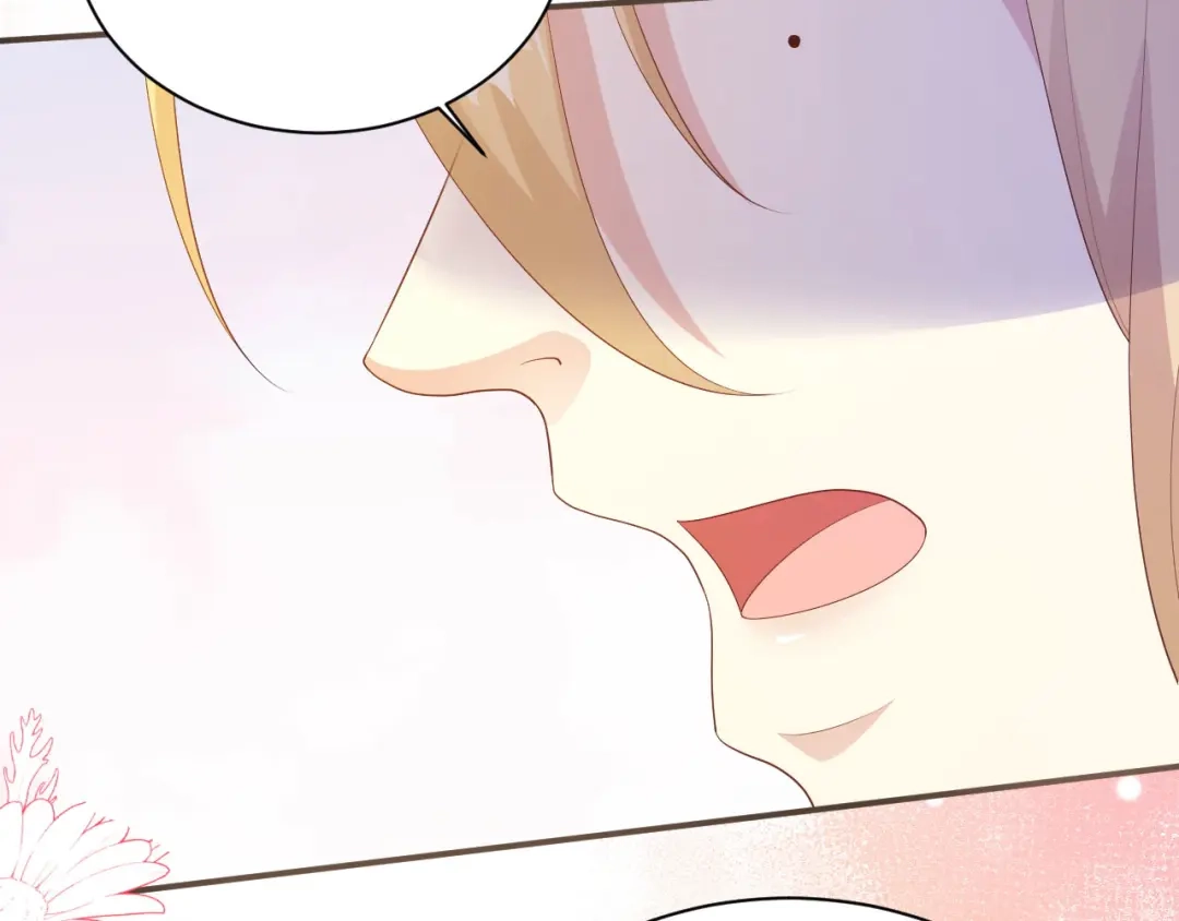 第504页