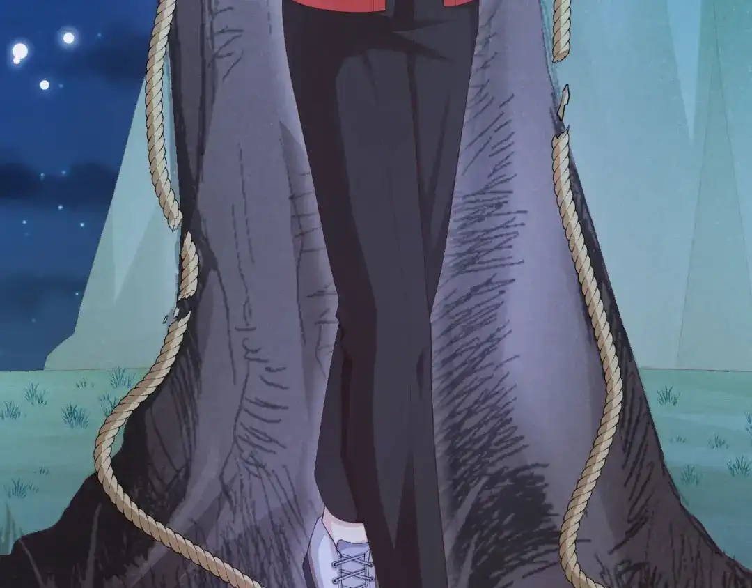 第493页