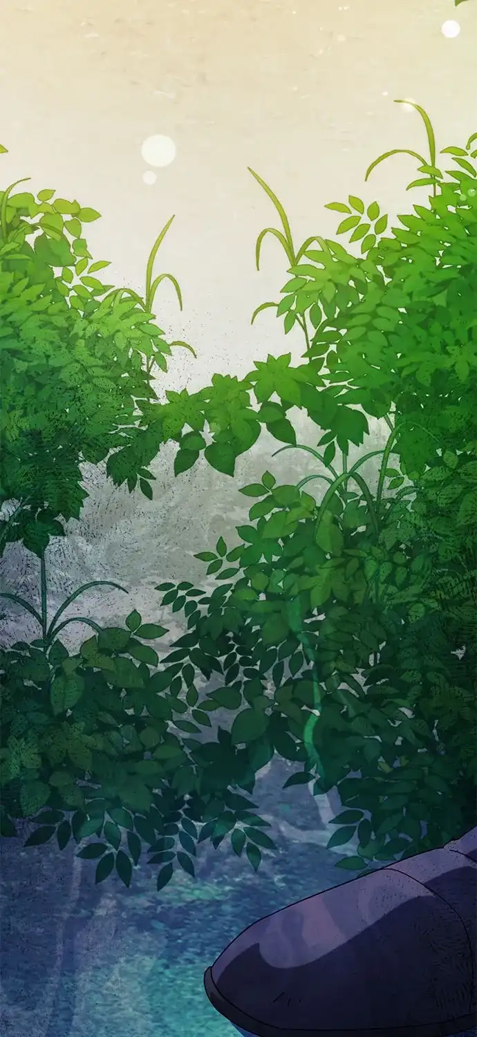 第566页