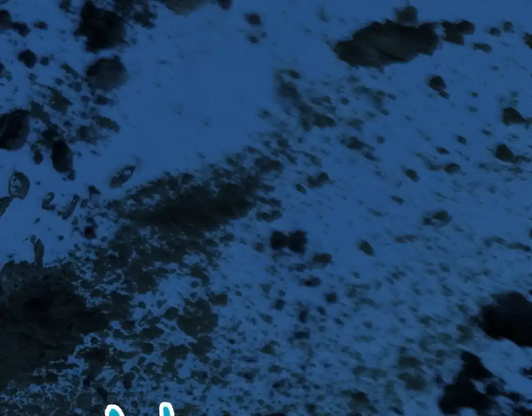 第158页