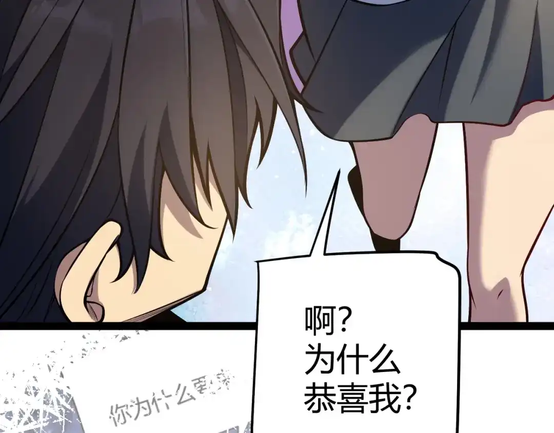 第335页