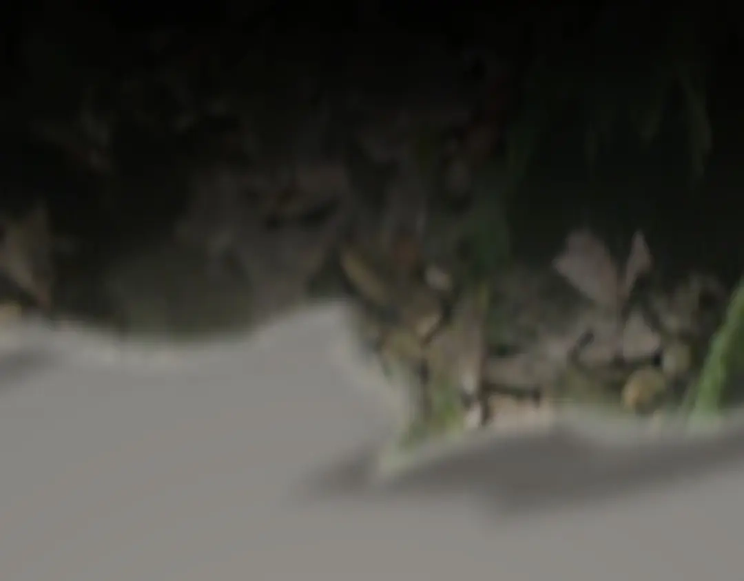 第182页