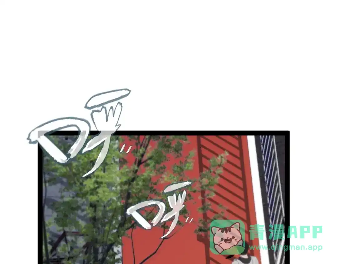 第196页