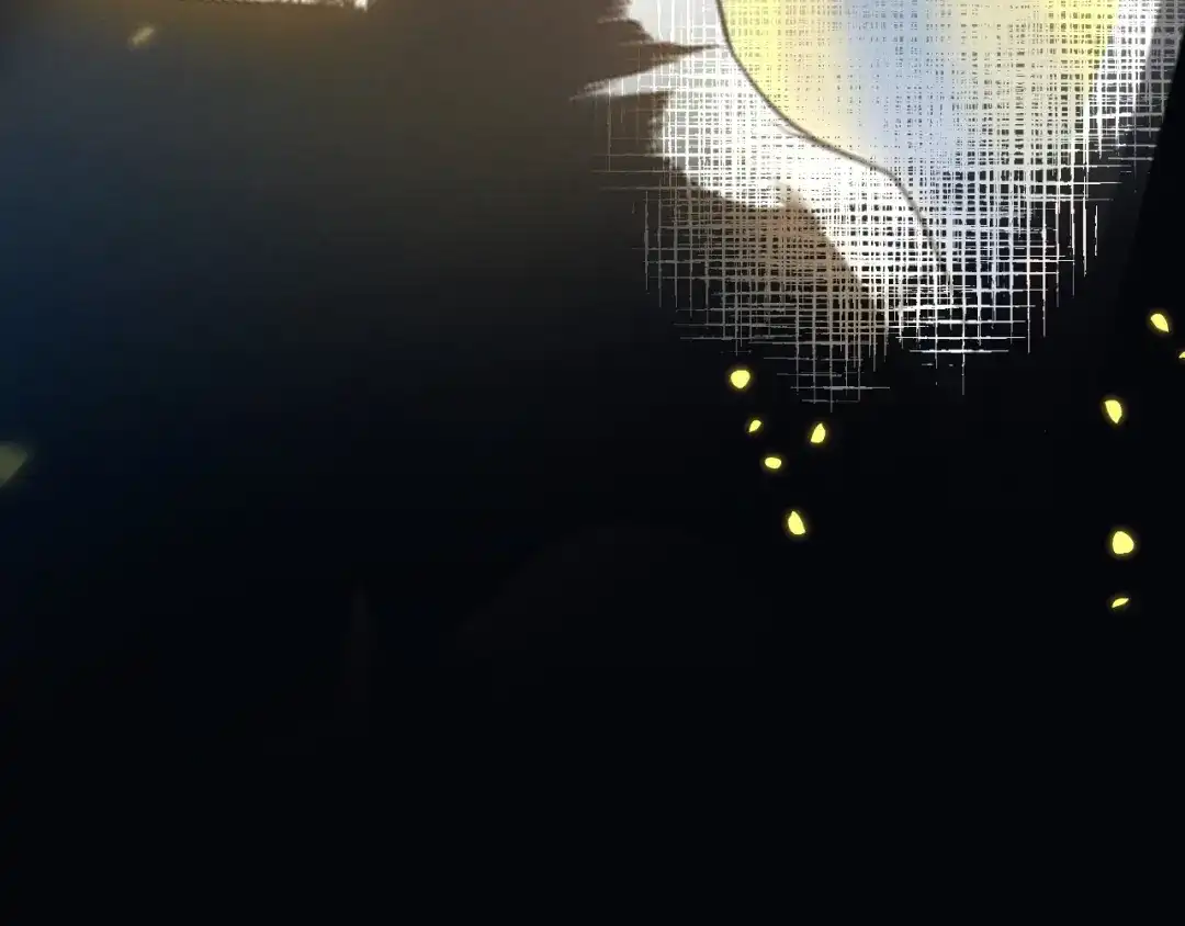第213页