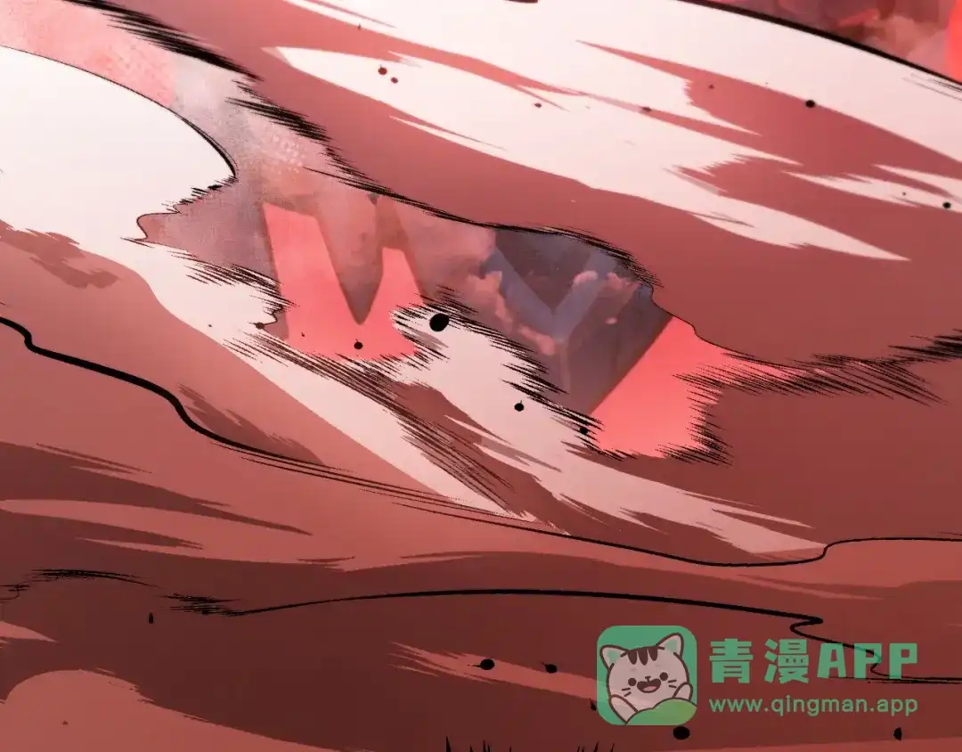 第241页