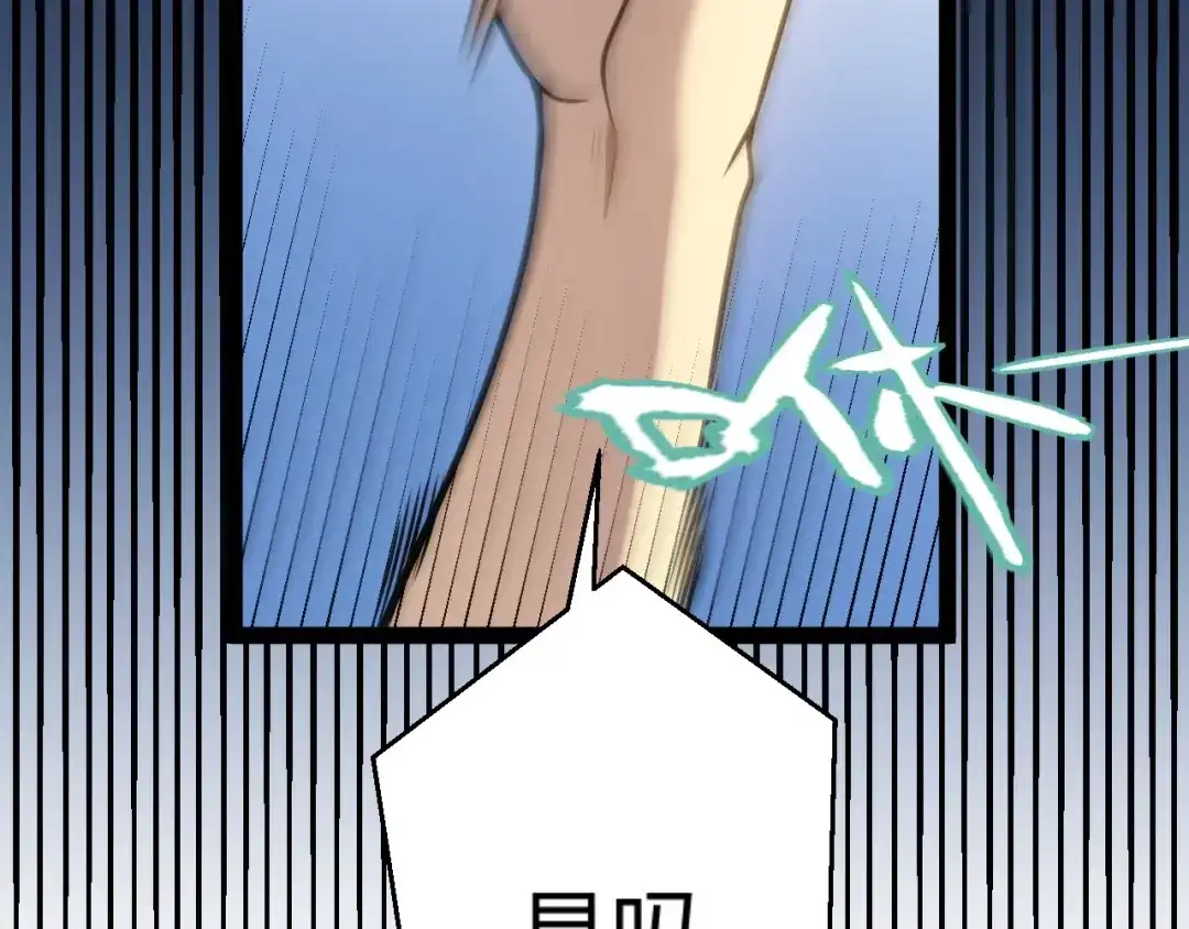 第339页