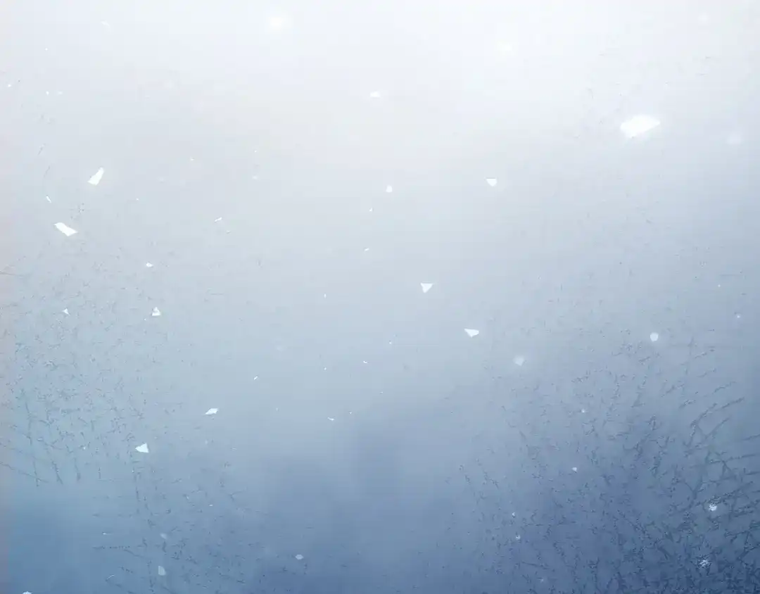 第196页