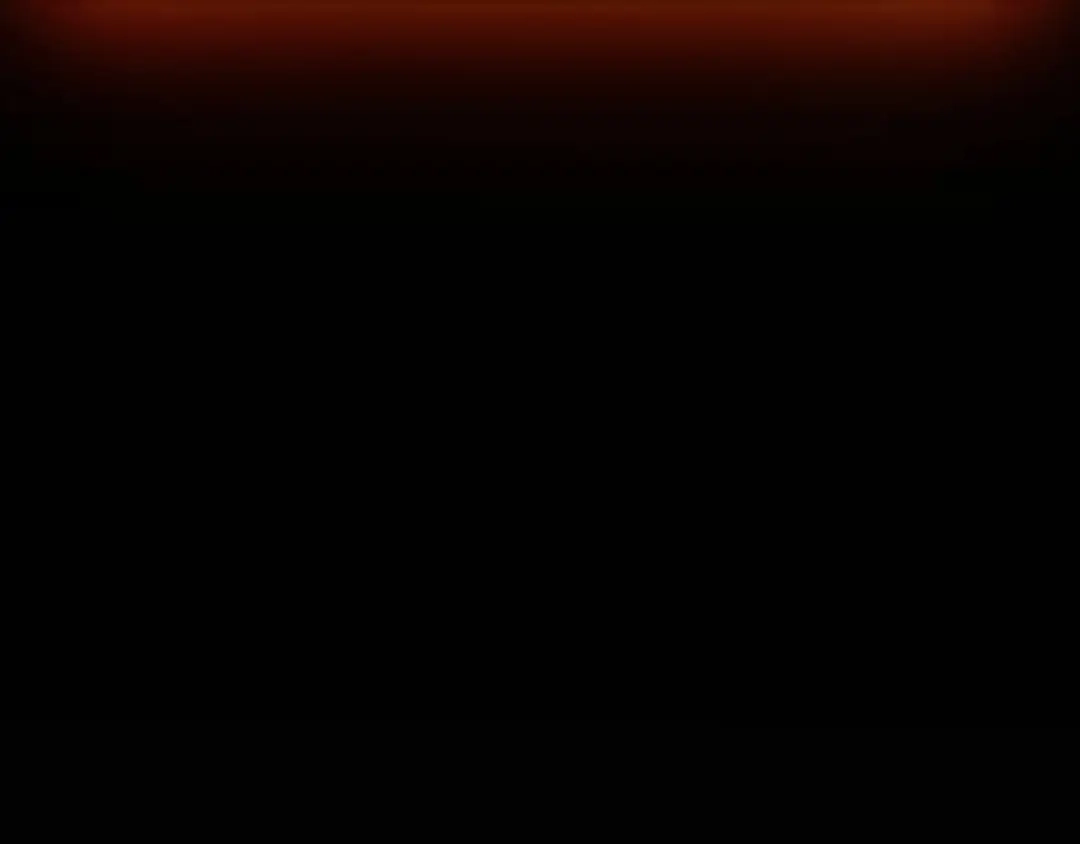 第228页